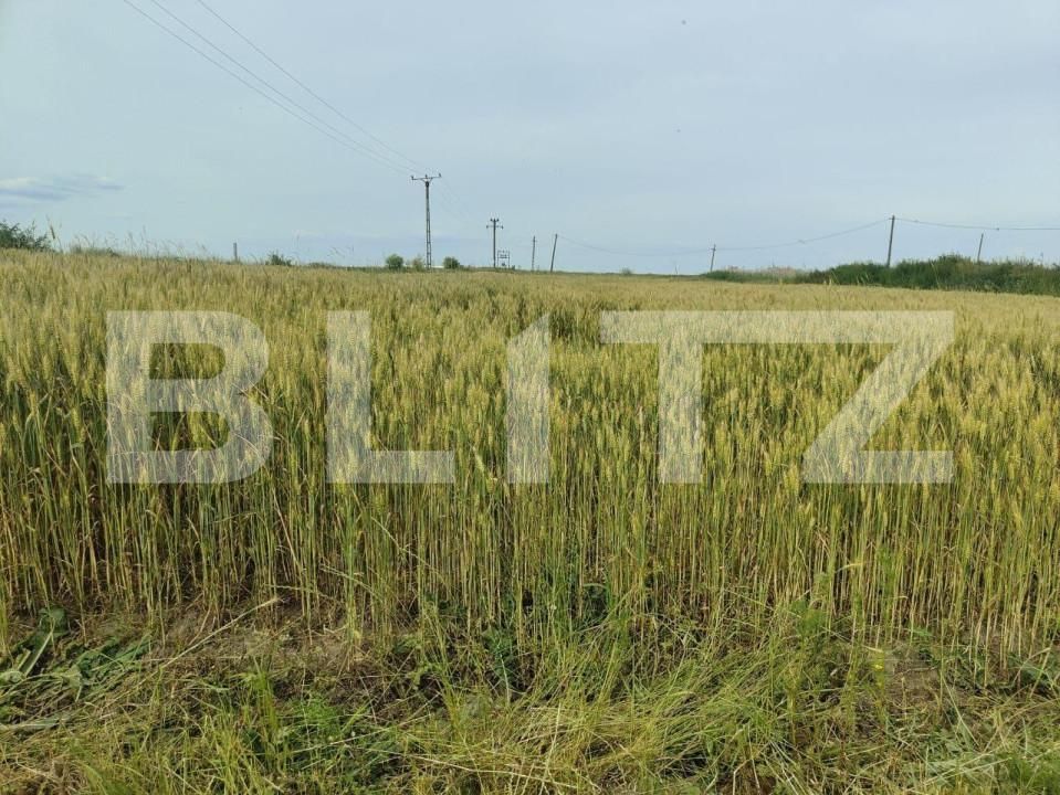 Teren de vânzare Exterior Sud - 140111TV | BLITZ Timișoara | Poza11