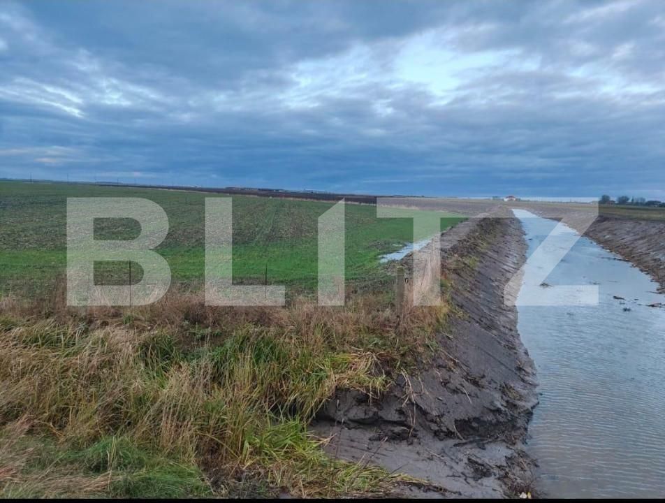 Teren de vânzare Exterior Sud - 140111TV | BLITZ Timișoara | Poza7