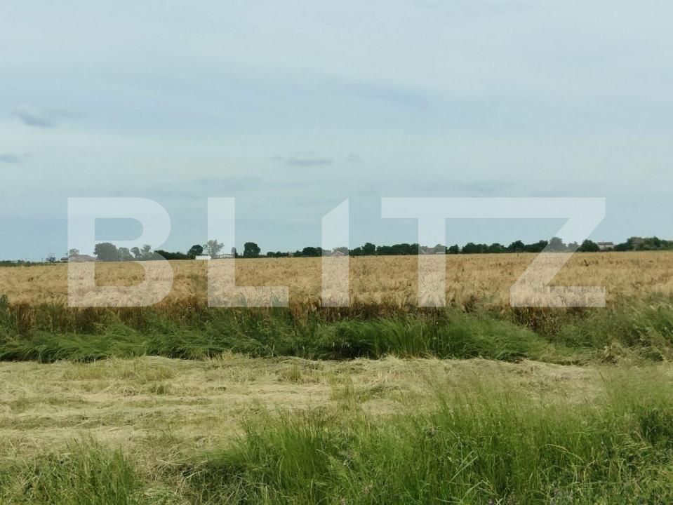 Teren de vânzare Exterior Sud - 140111TV | BLITZ Timișoara | Poza18