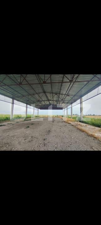 Teren de vânzare Exterior Sud - 140111TV | BLITZ Timișoara | Poza19