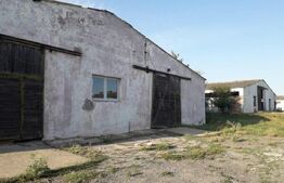 De vanzare teren-intravilan, ferma 9,5 ha, Tulcea-Sf. Gheorghe 