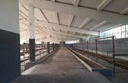 De vanzare teren-intravilan, ferma 9,5 ha, Tulcea-Sf. Gheorghe 