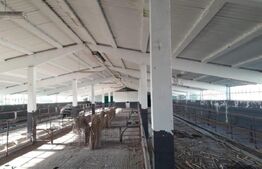 De vanzare teren-intravilan, ferma 9,5 ha, Tulcea-Sf. Gheorghe 