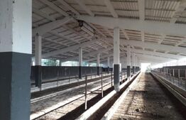 De vanzare teren-intravilan, ferma 9,5 ha, Tulcea-Sf. Gheorghe 