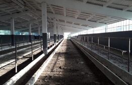 De vanzare teren-intravilan, ferma 9,5 ha, Tulcea-Sf. Gheorghe 