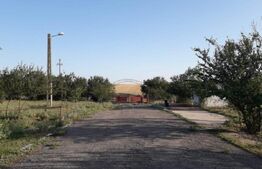 De vanzare teren-intravilan, ferma 9,5 ha, Tulcea-Sf. Gheorghe 