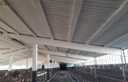 De vanzare teren-intravilan, ferma 9,5 ha, Tulcea-Sf. Gheorghe 