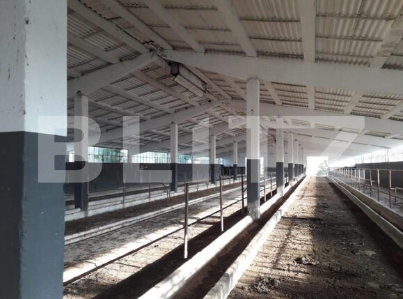 Teren de vânzare Exterior Nord - 140112TV | BLITZ Timișoara | Poza10