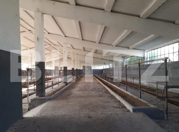 Teren de vânzare Exterior Nord - 140112TV | BLITZ Timișoara | Poza7