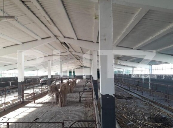 Teren de vânzare Exterior Nord - 140112TV | BLITZ Timișoara | Poza2