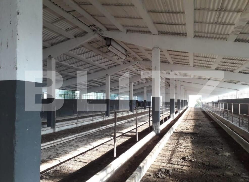 Teren de vânzare Exterior Nord - 140112TV | BLITZ Timișoara | Poza10