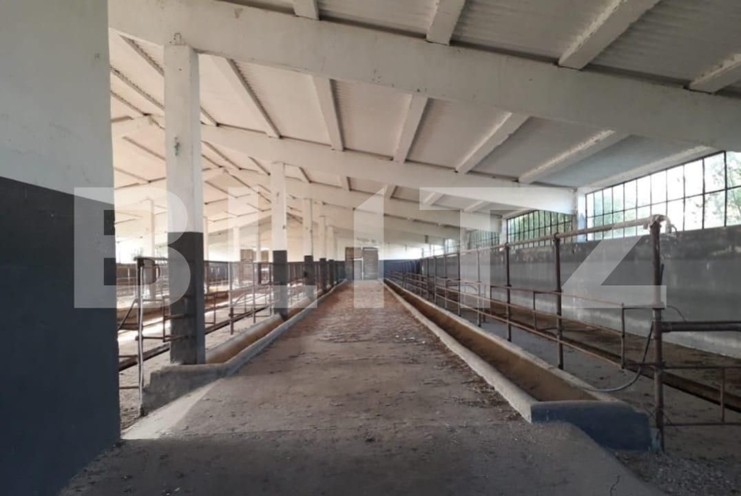 Teren de vânzare Exterior Nord - 140112TV | BLITZ Timișoara | Poza7