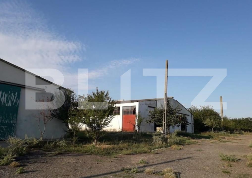 Teren de vânzare Exterior Nord - 140112TV | BLITZ Timișoara | Poza8
