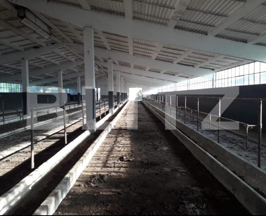 Teren de vânzare Exterior Nord - 140112TV | BLITZ Timișoara | Poza3