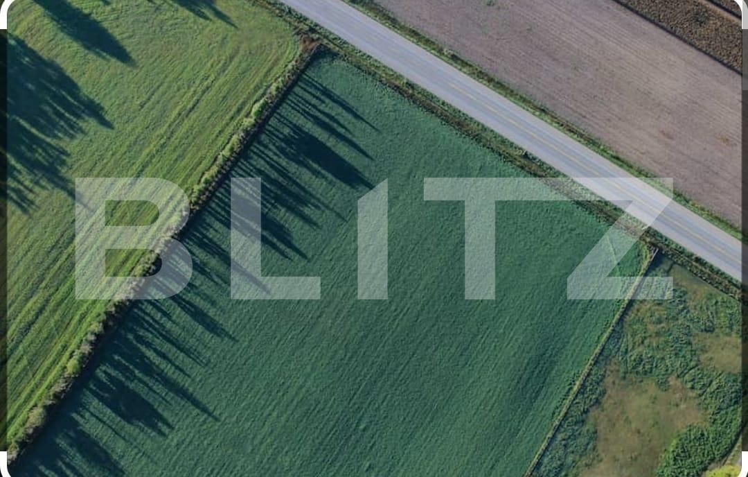 Teren de vânzare Exterior Sud - 140113TV | BLITZ Timișoara | Poza1