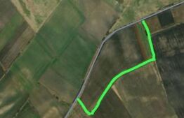 Teren arabil, 25 ha, Giulvaz-Foeni, front stradal 280 ml