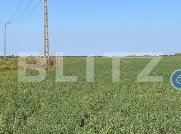 Teren de vânzare Exterior Sud - 140114TV | BLITZ Timișoara | Poza2