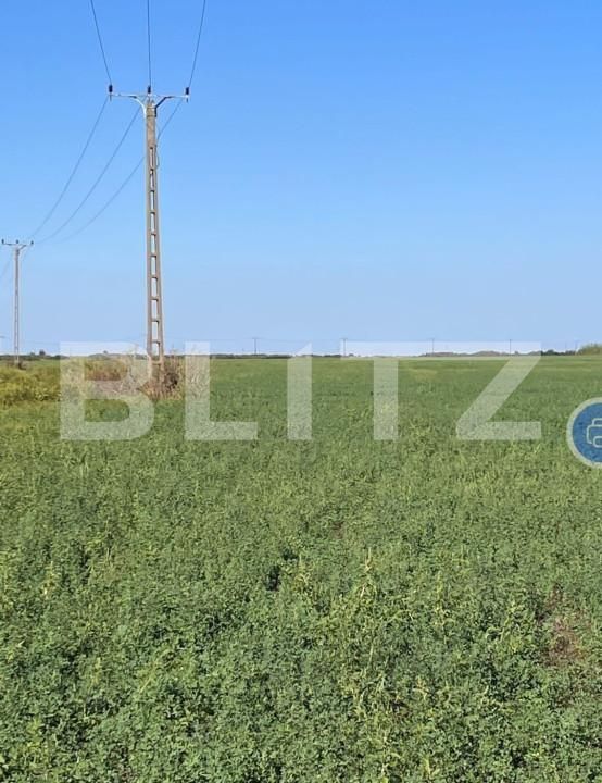 Teren de vânzare Exterior Sud - 140114TV | BLITZ Timișoara | Poza2