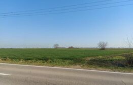 Teren arabil intravilan-scop industrial, 11600 mp, Sag