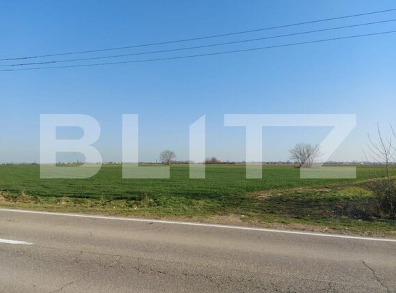 Teren de vânzare Exterior Sud - 140116TV | BLITZ Timișoara | Poza1