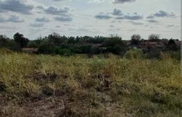 Teren de vânzare Exterior Sud - 128040TV | BLITZ Timișoara | Poza4