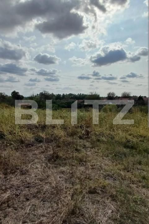 Teren de vânzare Lipovei - 140119TV | BLITZ Timișoara | Poza1