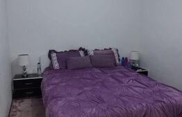 Casa de vanzare, 8 camere, 264 mp, Mehala