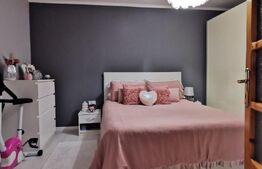 Casa de vanzare, 8 camere, 264 mp, Mehala