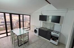 Vila 12 dormitoare, 33-35 persoane, 450mp, Lipovei