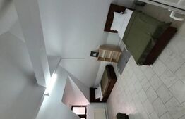 Vila 12 dormitoare, 33-35 persoane, 450mp, Lipovei