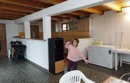 Casa 10 camere, teren 3763 mp, 240 utili, Peciu Nou