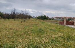 Casa 10 camere, teren 3763 mp, 240 utili, Peciu Nou