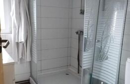 Casa 10 camere, teren 3763 mp, 240 utili, Peciu Nou