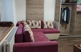 Casa 10 camere, teren 3763 mp, 240 utili, Peciu Nou