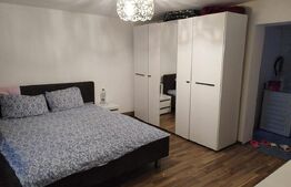 Casa 10 camere, teren 3763 mp, 240 utili, Peciu Nou