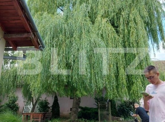 Casa de vânzare 10 camere Exterior Sud - 140128CV | BLITZ Timișoara | Poza5