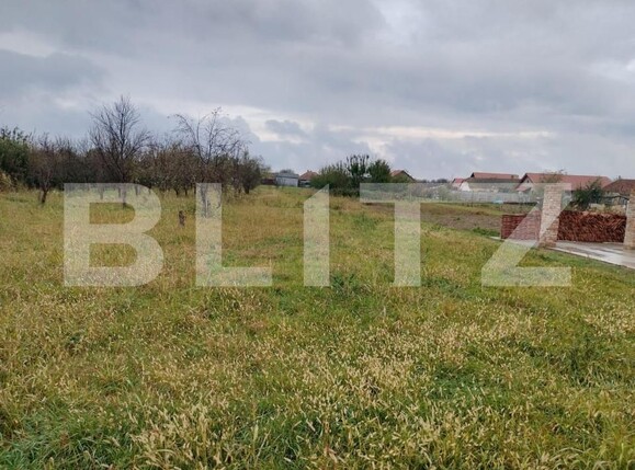 Casa de vânzare 10 camere Exterior Sud - 140128CV | BLITZ Timișoara | Poza4