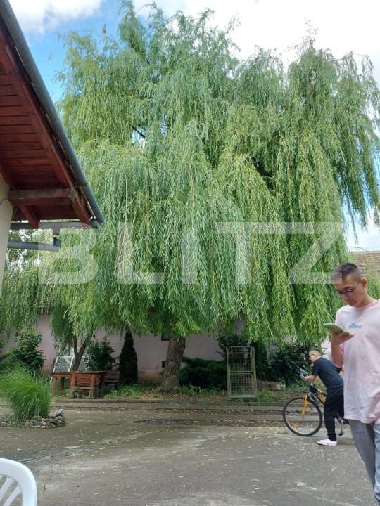 Casa de vânzare 10 camere Exterior Sud - 140128CV | BLITZ Timișoara | Poza5