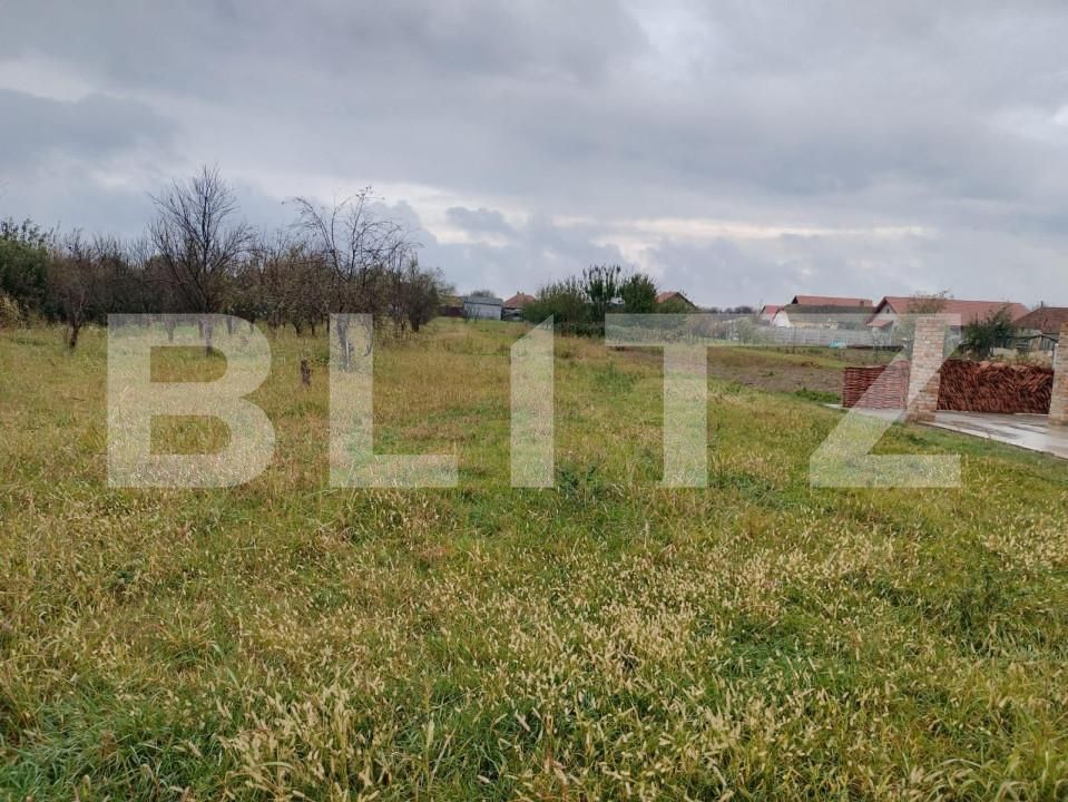 Casa de vânzare 10 camere Exterior Sud - 140128CV | BLITZ Timișoara | Poza4