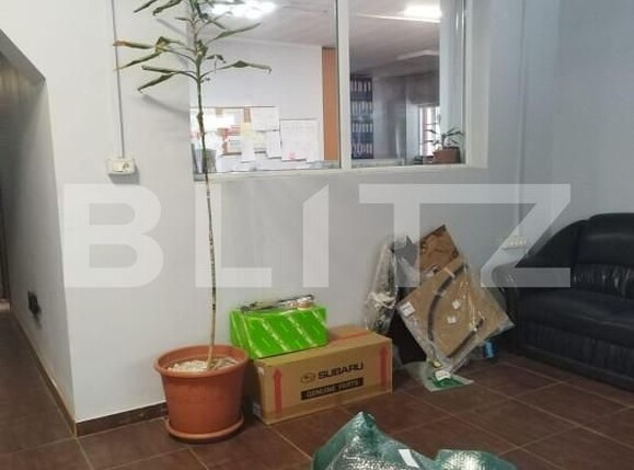 Spațiu industrial de vânzare Sagului - 140133SVI | BLITZ Timișoara | Poza7