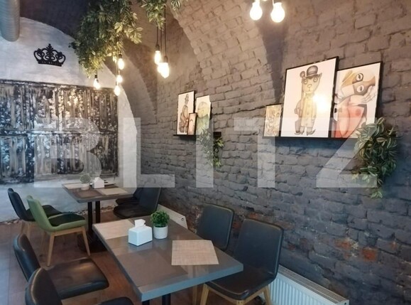 Spațiu comercial de vânzare P-ta Unirii - 140135SVC | BLITZ Timișoara | Poza3