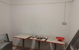 Afacere la cheie, zona Sagului, 