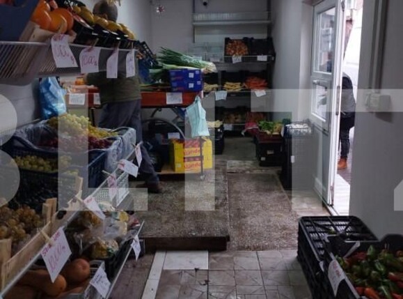 Spațiu comercial de vânzare Soarelui - 140140SVC | BLITZ Timișoara | Poza4