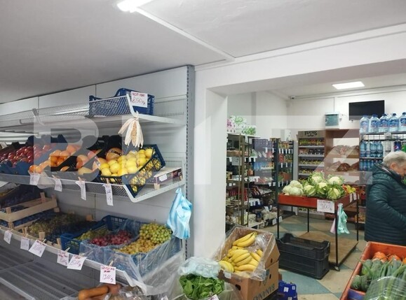 Spațiu comercial de vânzare Soarelui - 140140SVC | BLITZ Timișoara | Poza1