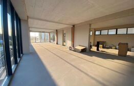 Spatiu comercial, 200 mp, zona Torontalului- 12€ mp + TVA