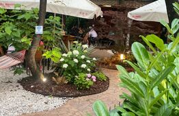 Afacere la cheie de tip restaurant fast food+ terasa de 400 mp