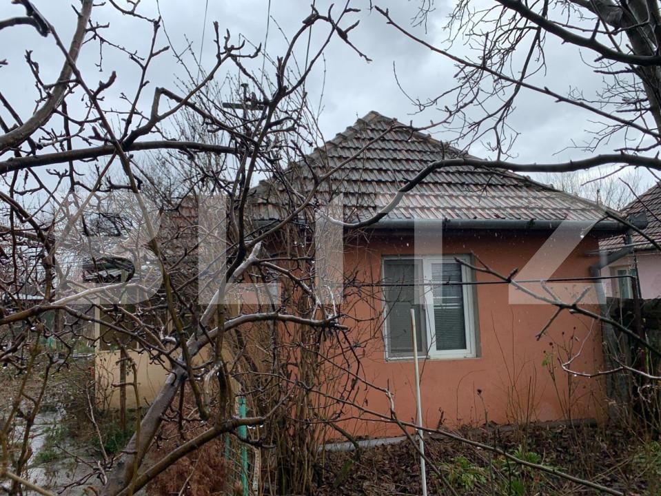 Casa de vânzare 2 camere Mircea cel Batran - 140148CV | BLITZ Timișoara | Poza2