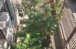 Pensiunea, 13 apartamente, 500mp, zona Mehala