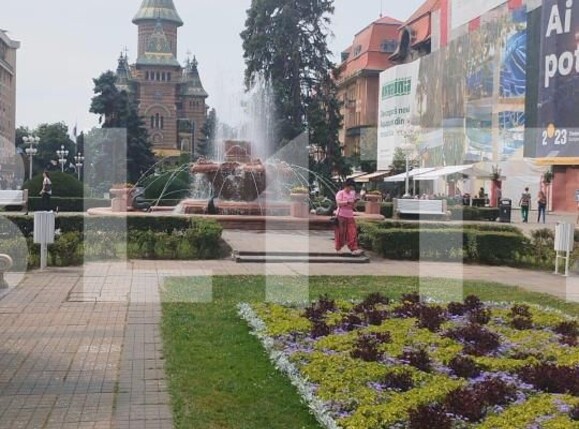 Spațiu comercial de vânzare Central - 140150SVC | BLITZ Timișoara | Poza2