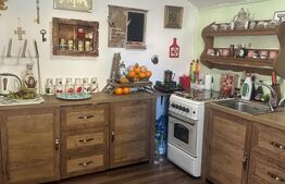 Casa 6 camere, 2 camere SAD la strada principala, potrivit Cabinet Veterinar